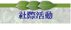 社際活動